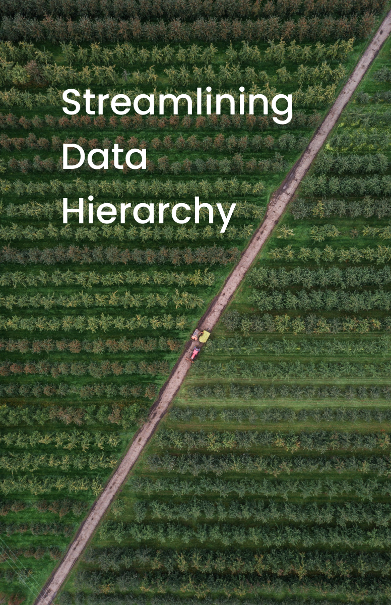 Streamlining Data Hierarchy